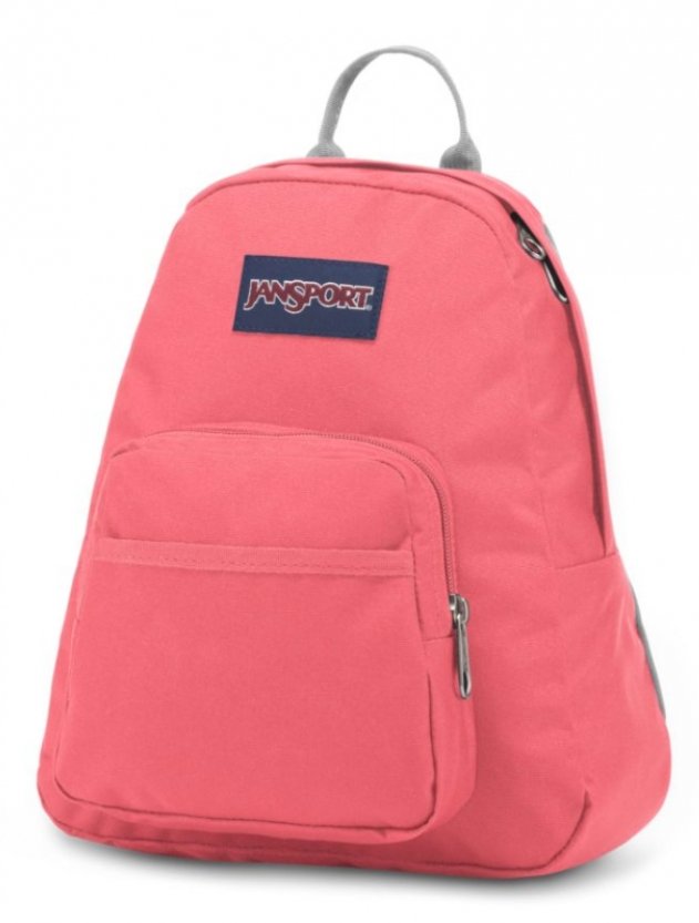 MOCHILA PEQUEÑA - HALF PINT - Mochilas JanSport - JS00TDH6-53Y