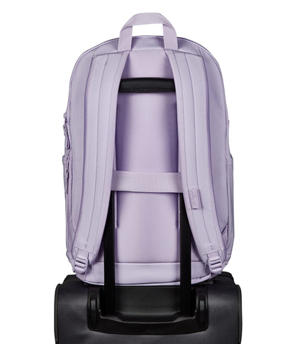 MOCHILA - SERENITY PACK - Mochilas JanSport - JS0A8982-DM3